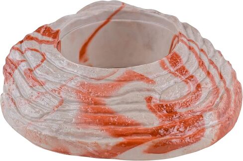 حزمة متنوعة من وجبة الأعشاب الصحية الفورية لأغذية التنين الصغيرة (7 × طعام تنين صغير، 4 × مزيج فواكه، 3 × مزيج نباتي، و1 × طبق تغذية) in Kuwait