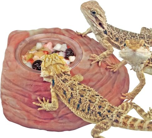 حزمة متنوعة من وجبة الأعشاب الصحية الفورية لأغذية التنين الصغيرة (7 × طعام تنين صغير، 4 × مزيج فواكه، 3 × مزيج نباتي، و1 × طبق تغذية) in Kuwait