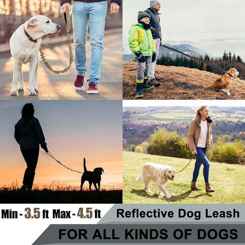 مقود بنجي للكلاب شديدة التحمل من كوباتيس للكلاب المتوسطة والكبيرة، مقود تدريب للكلاب بمقبضين، بدون سحب لامتصاص الصدمات مع مشبك مقعد السيارة (كاكي، 4 أقدام) in Kuwait