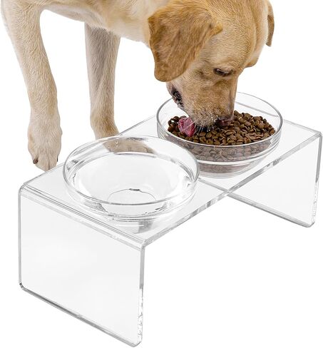 Acrylic Elevated Dog Cat Bowls Pet Feeder Double Bowl Raised Stand Comes with 2 Removable Glass Bowls and 2 Stainless Steel Bowls.Perfect for Large Dogs, 7.2" Tall in Kuwait
