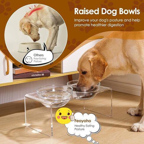 Acrylic Elevated Dog Cat Bowls Pet Feeder Double Bowl Raised Stand Comes with 2 Removable Glass Bowls and 2 Stainless Steel Bowls.Perfect for Large Dogs, 7.2" Tall in Kuwait