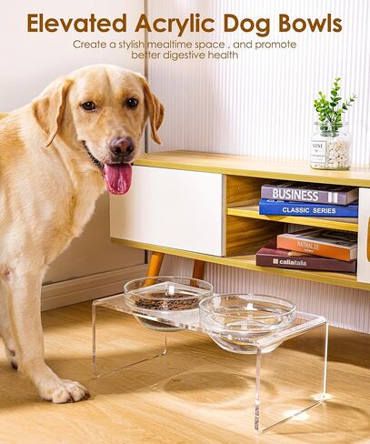 Acrylic Elevated Dog Cat Bowls Pet Feeder Double Bowl Raised Stand Comes with 2 Removable Glass Bowls and 2 Stainless Steel Bowls.Perfect for Large Dogs, 7.2" Tall in Kuwait