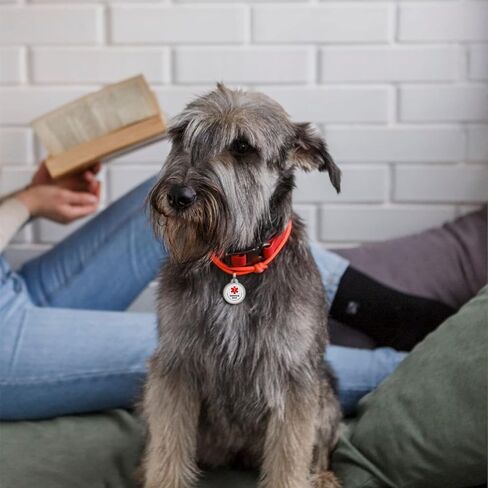 ROVERTAGS معرف كلب الخدمة QR Code Pet Tag - ESA - علامات اسم كلب خدمة الدعم العاطفي مع ملف تعريف الحيوانات الأليفة على الإنترنت (ESA، L) in Kuwait