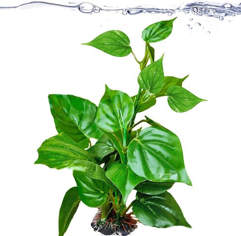 جور نبات اوراق بلاستيكية لخزانات المياه العذبة او البحرية، نبات مزيف واقعي للغاية مقاس 10 انش، حواف اوراق غير حادة تحمي زعانف السمك، بقعة اختباء للاسماك والزواحف والبرمائيات، يدعم خزان سعة 10 جالون in Kuwait