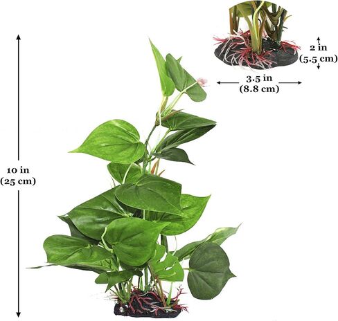 جور نبات اوراق بلاستيكية لخزانات المياه العذبة او البحرية، نبات مزيف واقعي للغاية مقاس 10 انش، حواف اوراق غير حادة تحمي زعانف السمك، بقعة اختباء للاسماك والزواحف والبرمائيات، يدعم خزان سعة 10 جالون in Kuwait