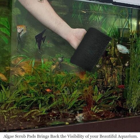 JOR Scrub Pads, Cleans Tank from Nooks and Crannies Easily, Saves Time, Creates A Sparkling Clear Aquarium, Long-Lasting Pads, 3 pcs/Pack in Kuwait