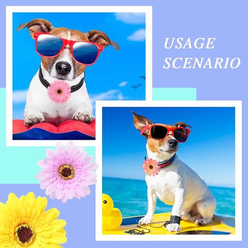 30 عبوة من طوق الكلاب بتصميم زهور متعددة الالوان بتصميم زهور للكلاب والكلاب والزهور، اكسسوارات طوق للكلاب الصغيرة والمتوسطة والكبيرة والقطط والجراء والحيوانات الاليفة in Kuwait