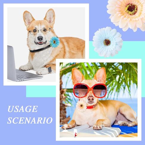 30 عبوة من طوق الكلاب بتصميم زهور متعددة الالوان بتصميم زهور للكلاب والكلاب والزهور، اكسسوارات طوق للكلاب الصغيرة والمتوسطة والكبيرة والقطط والجراء والحيوانات الاليفة in Kuwait