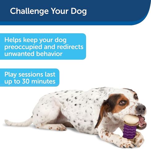 PetSafe Large Sportsmen Nobbly Nubbly Pet Chew Toy in Saudi Arabia