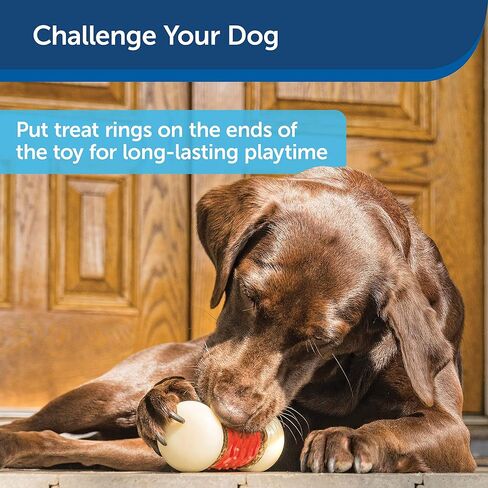 لعبة مضغ الحيوانات الأليفة من شركة PetSafe، لعبة مضغ للرياضيين الكبار من Nobbly Nubbly in Kuwait