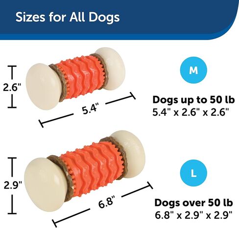 لعبة مضغ الحيوانات الأليفة من شركة PetSafe، لعبة مضغ للرياضيين الكبار من Nobbly Nubbly in Kuwait
