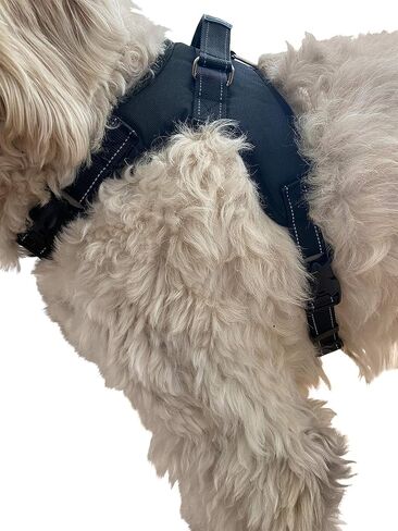 حزام رسن الصدر Labra Dog Canine K9 للاستخدام مع دعامة الركبة Labra Canine (كبير جدًا) in Saudi Arabia