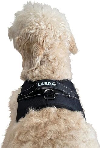 حزام رسن الصدر Labra Dog Canine K9 للاستخدام مع دعامة الركبة Labra Canine (كبير جدًا) in Saudi Arabia