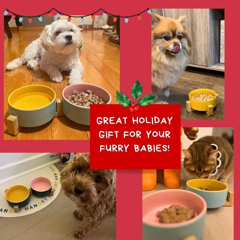 أوعية الكلاب المرتفعة من SunDog - وعاء عملي مرتفع للكلاب للطعام والماء - أوعية سيراميك لطيفة ومتينة للكلاب مع حامل خشبي - أوعية للكلاب والقطط الصغيرة سعة 13.5 أونصة (أزرق) in Kuwait