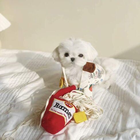 لعبة سلة النزهة لإخفاء الوجبات الخفيفة للكلاب من تشوتشوتشو، لعبة ألغاز عمل الأنف، حصيرة استنشاق، لعبة تفاعلية للكلاب للتحفيز العقلي للكلاب، وتخفيف الملل والتوتر والقلق in Kuwait