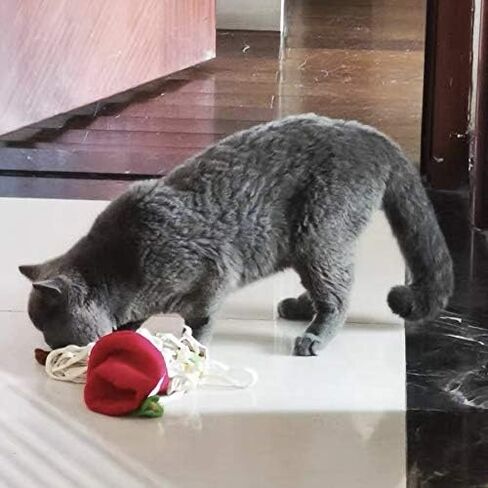 لعبة سلة النزهة لإخفاء الوجبات الخفيفة للكلاب من تشوتشوتشو، لعبة ألغاز عمل الأنف، حصيرة استنشاق، لعبة تفاعلية للكلاب للتحفيز العقلي للكلاب، وتخفيف الملل والتوتر والقلق in Kuwait