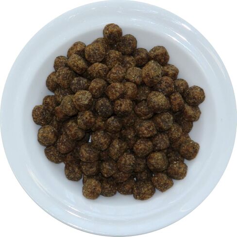 Walk About Pet، WA10037، طعام الكلاب فائق الجودة Canine Exotics، طعام قلوي جاف، وصفة نباتية، خالي من الحبوب، خالي من الغلوتين، بروتين أحادي المصدر، كيس بوزن 7 رطل in Kuwait