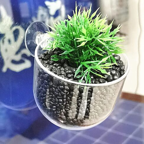 4 أكواب نباتات مائية من الأكريليك مع حامل تثبيت بالشفط 4.57 سم وعاء البستنة الصغير المغذِّي للدودة الحمراء وحامل مائي لحوض الأسماك وديكور نباتات لحوض الأسماك من روهو in Kuwait