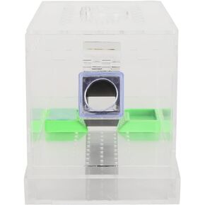 VBESTLIFE Cricket Keeper مع أنابيب، مجموعة متينة وقوية للعناية بالكريكيت، مادة أكريليك عالية الشفافية آمنة وغير سهلة الاستخدام للمكتب في المنزل (المنازل) in Kuwait