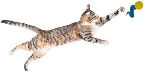 Dezi & Roo Wiggly Ping Ball - Fun Cat Toys - Toy Balls for Indoor Cats - Designed by a Feline Vet - Made in USA - 3pk in Kuwait