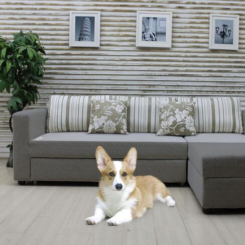 ويكسفر بساط صدمة كهربائي مطور لتدريب الكلاب والقطط والحيوانات الاليفة مقاس 60 × 12 انش in Kuwait