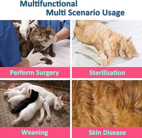 بدلة تعافي القطط، بدلة تعافي جراحة القطط لجروح البطن الجراحية، بديل الياقة الإلكترونية للقطط والكلاب، ملابس ما بعد الجراحة، ملابس القطط للقطط بعد الجراحة (أزرق، كبير) in Kuwait