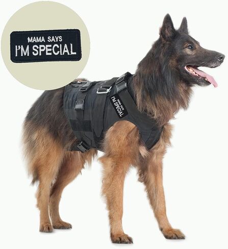 10 Pieces Service Dog Patches, Dog Vest Removable Patches for Service Embroidered Tactical Hook Loop Harness Patch Set to Pet in Training in Saudi Arabia