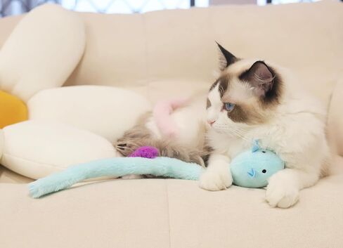 Cat Toys Mice 4PCS - Catnip - Jingly Bell - Crinkle - Premium Cat Interactive Chew Toys for Indoor Cats in Kuwait