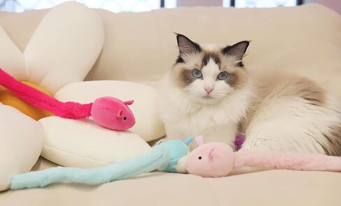 Cat Toys Mice 4PCS - Catnip - Jingly Bell - Crinkle - Premium Cat Interactive Chew Toys for Indoor Cats in Kuwait