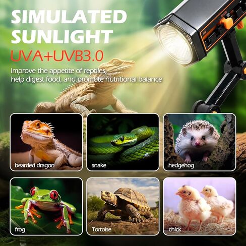 AZV Reptile Heat Lamp, UVA UVB Turtle Basking Spot Light with Clamp, Adjustable 360° Rotatable Arm, 25W Bulb Dimmable Habitat Heating Gecko Lamp for Tortoise, Snake, Frog, Lizard, Cockatoo, Chameleon in Kuwait