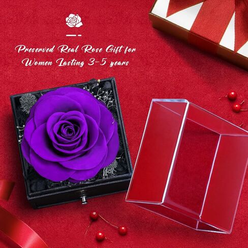 هدايا عيد الميلاد من S SIVERY للنساء - هدية وردة وردية أرجوانية حقيقية لها مع قلادة من الكريستال النمساوي لها، هدايا عيد ميلاد لصديقتك، هدايا عيد الميلاد للأم، هدايا للذكرى السنوية in Kuwait