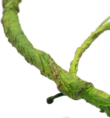 Pangea Reptile Ultimate Vine for Reptile Terrarium Habitat (Brown) in Kuwait