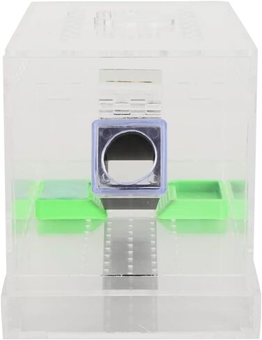 VBESTLIFE Cricket Keeper مع أنابيب، مجموعة متينة وقوية للعناية بالكريكيت، مادة أكريليك عالية الشفافية آمنة وغير سهلة الاستخدام للمكتب في المنزل (المنازل) in Kuwait