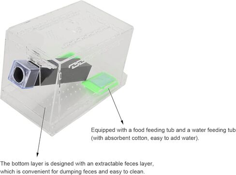 VBESTLIFE Cricket Keeper مع أنابيب، مجموعة متينة وقوية للعناية بالكريكيت، مادة أكريليك عالية الشفافية آمنة وغير سهلة الاستخدام للمكتب في المنزل (المنازل) in Kuwait