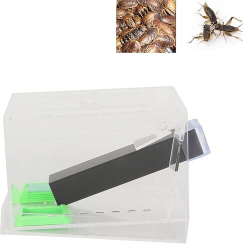 VBESTLIFE Cricket Keeper مع أنابيب، مجموعة متينة وقوية للعناية بالكريكيت، مادة أكريليك عالية الشفافية آمنة وغير سهلة الاستخدام للمكتب في المنزل (المنازل) in Kuwait