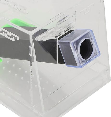 VBESTLIFE Cricket Keeper مع أنابيب، مجموعة متينة وقوية للعناية بالكريكيت، مادة أكريليك عالية الشفافية آمنة وغير سهلة الاستخدام للمكتب في المنزل (المنازل) in Kuwait