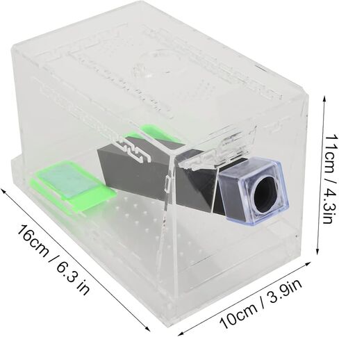 VBESTLIFE Cricket Keeper مع أنابيب، مجموعة متينة وقوية للعناية بالكريكيت، مادة أكريليك عالية الشفافية آمنة وغير سهلة الاستخدام للمكتب في المنزل (المنازل) in Kuwait
