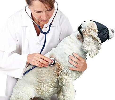 قناع عين بغطاء مهدئ للكلاب من بوناويت، قناع قلق للحيوانات الأليفة، كمامة طوق للقطط من النايلون للتزيين ومكافحة دوار السيارة S in Kuwait