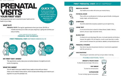 The Simplest Pregnancy Book in the World: The Illustrated, Grab-and-Do Guide for a Healthy, Happy Pregnancy and Childbirth in Saudi Arabia