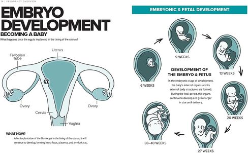 The Simplest Pregnancy Book in the World: The Illustrated, Grab-and-Do Guide for a Healthy, Happy Pregnancy and Childbirth in Saudi Arabia