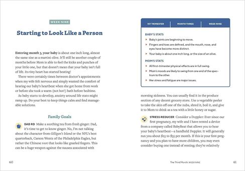 We're Pregnant! The First Time Dad's Pregnancy Handbook in Saudi Arabia