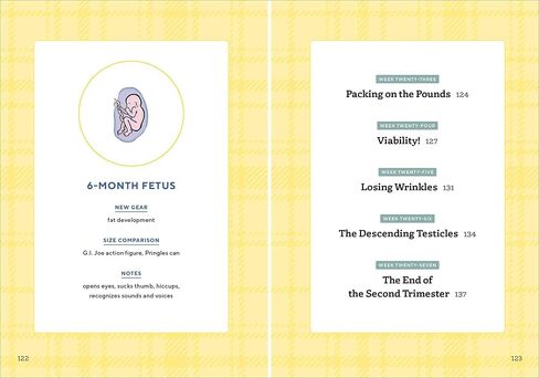 We're Pregnant! The First Time Dad's Pregnancy Handbook in Saudi Arabia