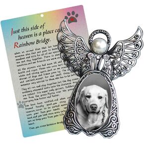 هدية تذكارية للحيوانات الاليفة بتصميم اجنحة الملاك - اطار صورة تذكاري لفقدان الحيوانات الاليفة في ذكرى كلبك الحبيب مع بطاقة جسر قوس قزح هدية تعاطف مع الكلب in Kuwait