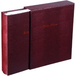 Small Photo Album 4x6 100 Photos, 50 Pages Hold 100 Pictures Vertical Photo, 4x6 Portfolio Folder for Artwork, Great Art Book for Postcards or Picture Storage