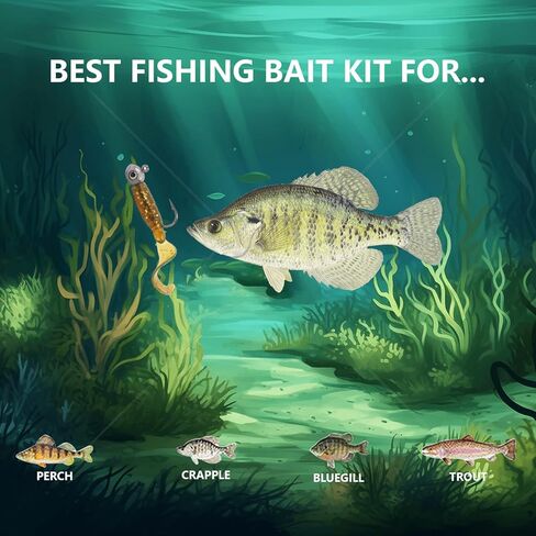 Crappie Baits and Lures with Assorted Glow Eye Jig Heads Kit of 1/32 1/16 1/6oz in Kuwait