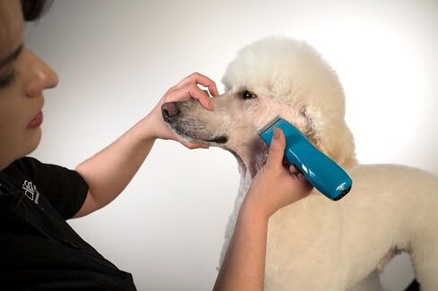 Andis 73515 Pulse Li 5 Cord/Cordless Grooming Clipper for Dogs, Cats and Equine, Teal in Saudi Arabia