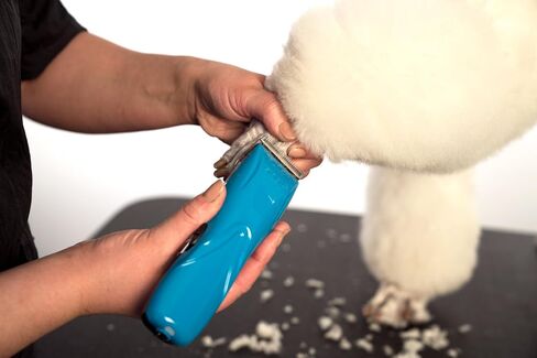 Andis 73515 Pulse Li 5 Cord/Cordless Grooming Clipper for Dogs, Cats and Equine, Teal in Saudi Arabia