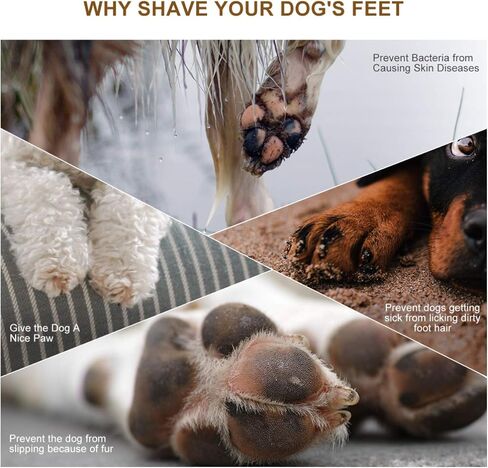 ماكينة قص شعر الكلاب من بوبيت بوب - ماكينة تشذيب شعر الحيوانات الأليفة الكهربائية اللاسلكية منخفضة الضوضاء، مجموعة أدوات قص شعر الكلاب بسرعتين قابلة لإعادة الشحن عبر USB للكلاب الصغيرة والقطط حول الوجه والأقدام والعينين والأذنين والردف in Kuwait