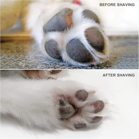 ماكينة قص شعر الكلاب من بوبيت بوب - ماكينة تشذيب شعر الحيوانات الأليفة الكهربائية اللاسلكية منخفضة الضوضاء، مجموعة أدوات قص شعر الكلاب بسرعتين قابلة لإعادة الشحن عبر USB للكلاب الصغيرة والقطط حول الوجه والأقدام والعينين والأذنين والردف in Kuwait