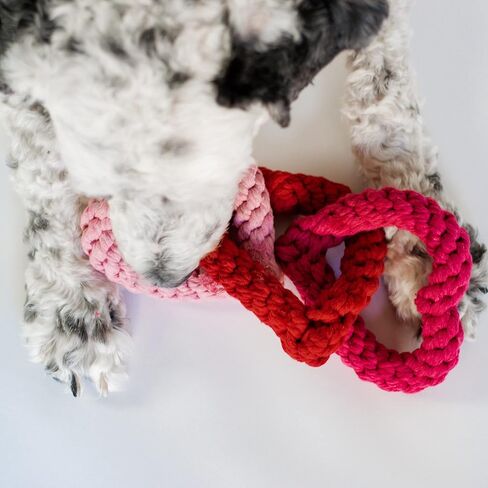 Midlee Interlocking Heart Rope Valentine Dog Toy - 6" in Saudi Arabia